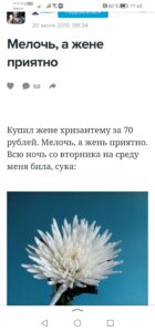 screenshot_20250301_114313_ru.yandex.searchplugin