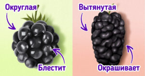 495bc45cfbbf37ce31eb24e87b
