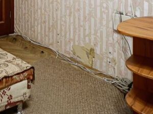 img_20250729_140857