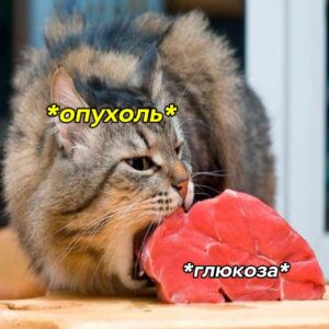 1000038256