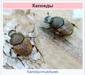 snimok-ekrana-2026-04-28-203137
