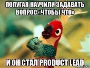 chtoby-chto