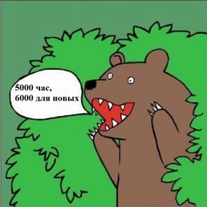 6000